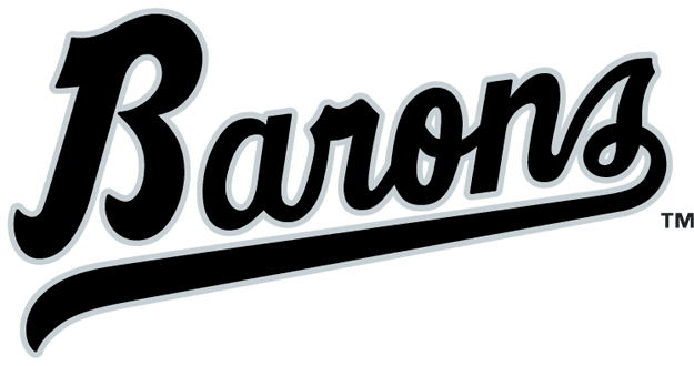 Birmingham Barons 1993-2007 Wordmark Logo iron on heat transfer